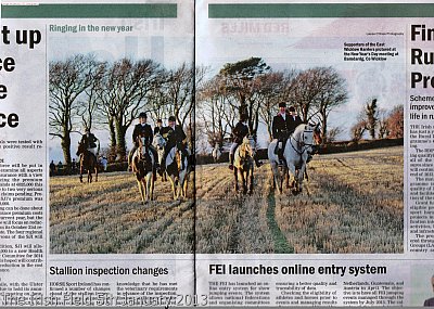 Irish_Field_5th_January_2013.jpg