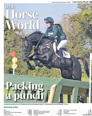 Irish_Field_17.10.20.jpg
